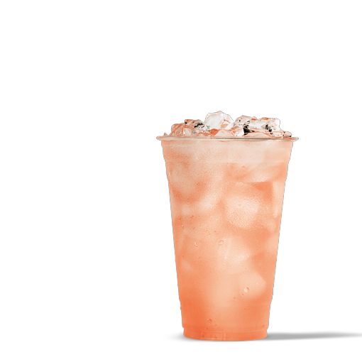 ORGANIC WATERMELON LIMEADE
